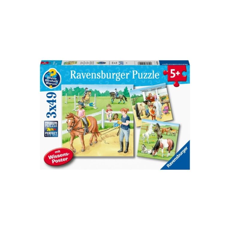 Puzzle Pista e kalërimit thumbnail 4