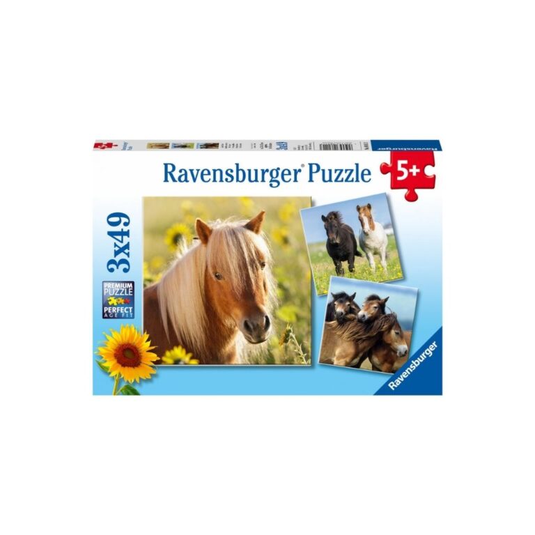 Puzzle me kuaj thumbnail 4