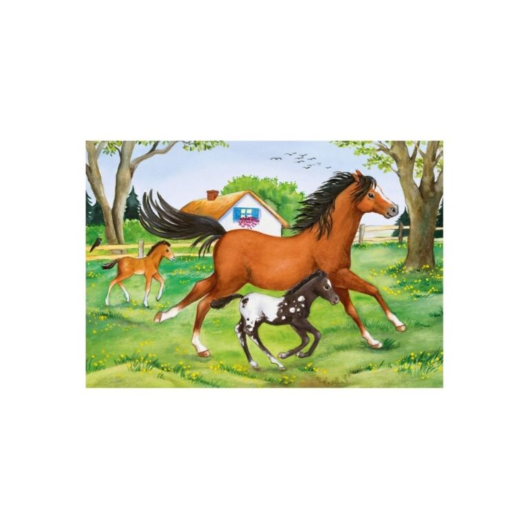 Puzzle Bota e kuajve