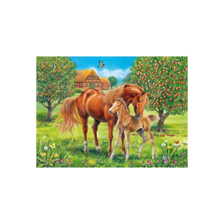 Puzzle me kuaj