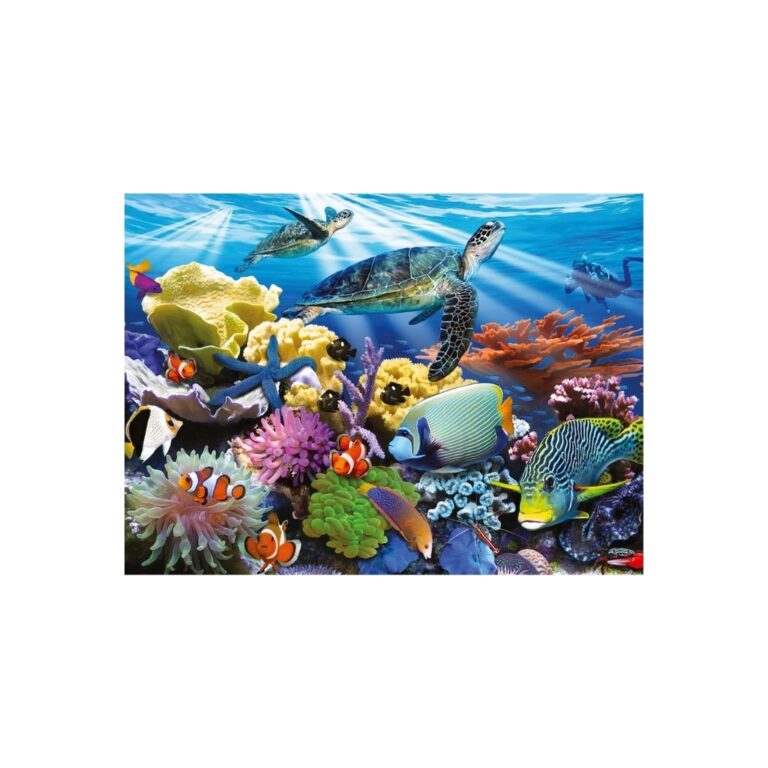 Puzzle Breshkat e Oqeanit