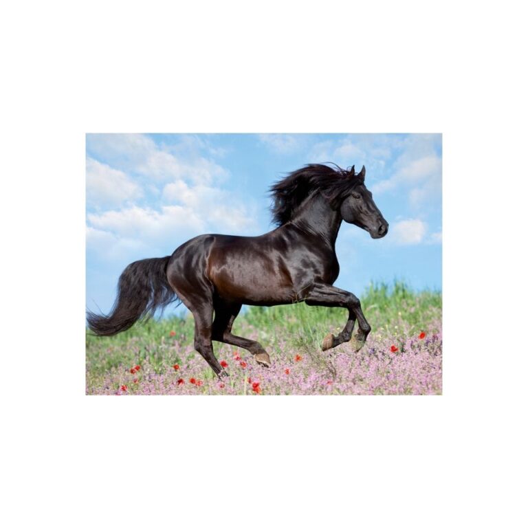 Puzzle- Kali I zi 200p