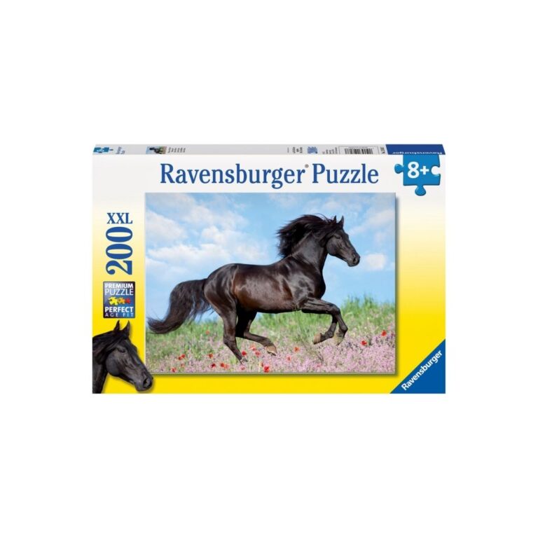 Puzzle- Kali I zi 200p thumbnail 2