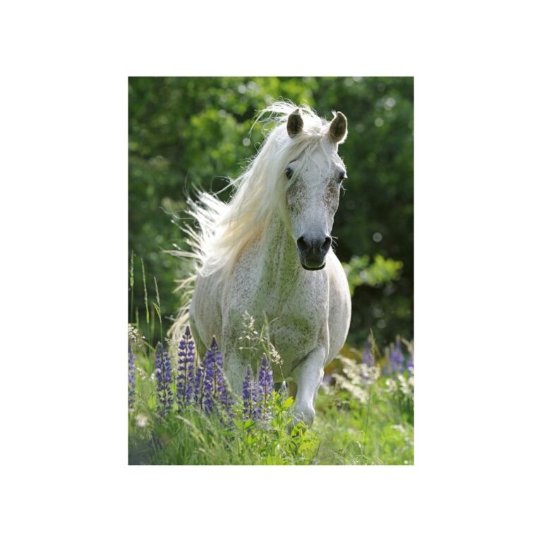 Puzzle me kal