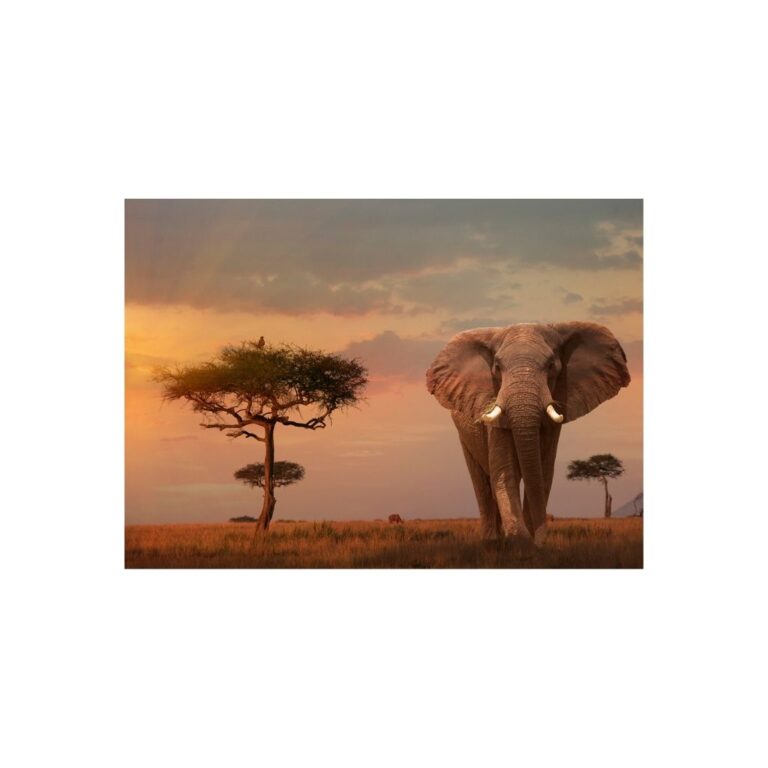 Puzzle me elefant
