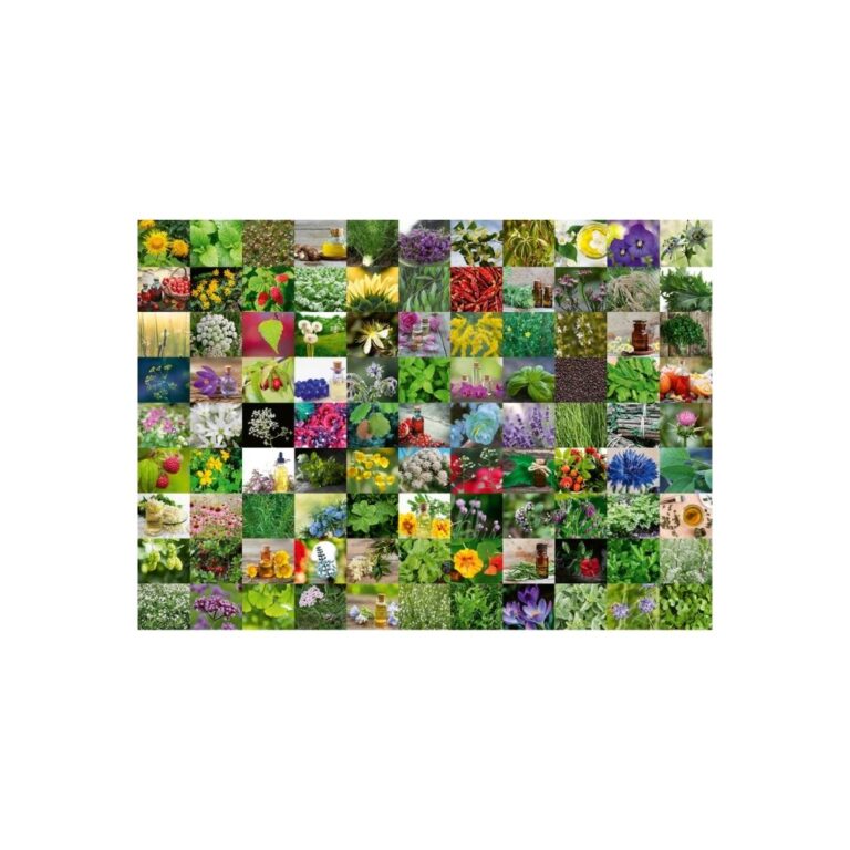 Puzzle Barishtet dhe erëzat
