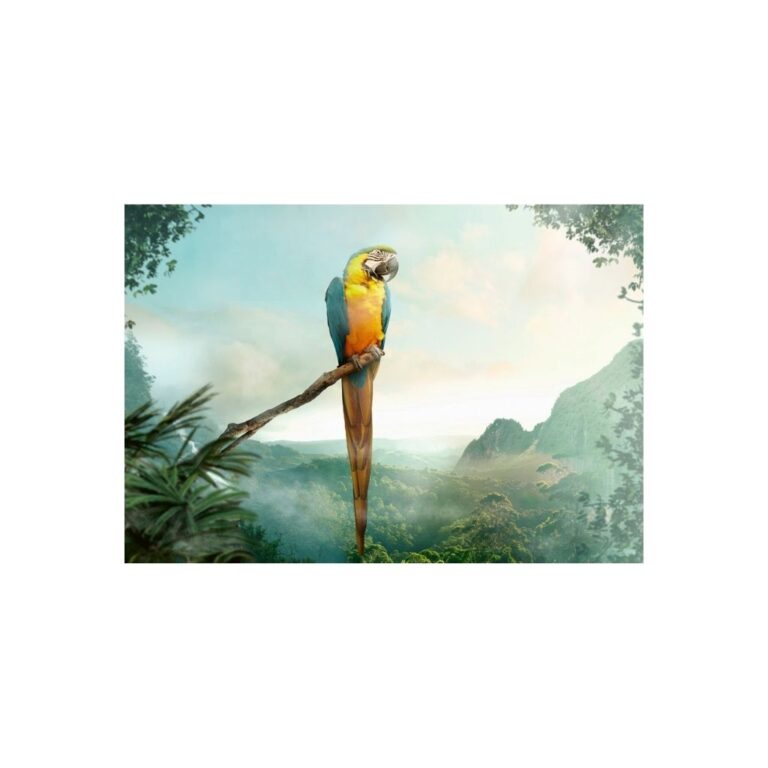 Puzzle Papagalli