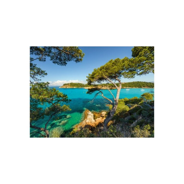 Puzzle në natyrë