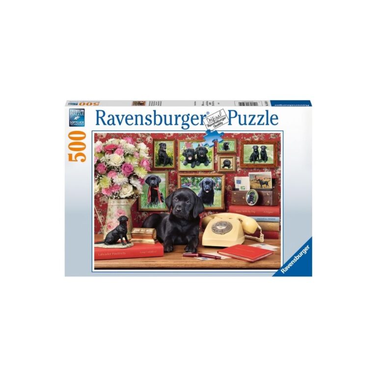 Puzzle Shokët besnik thumbnail 2