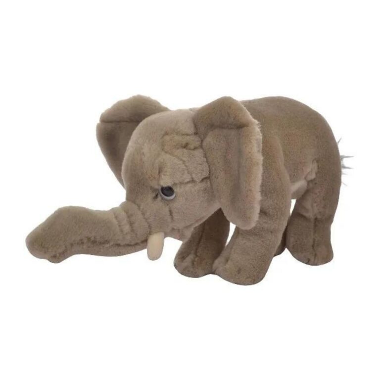 Elefant pellushi
