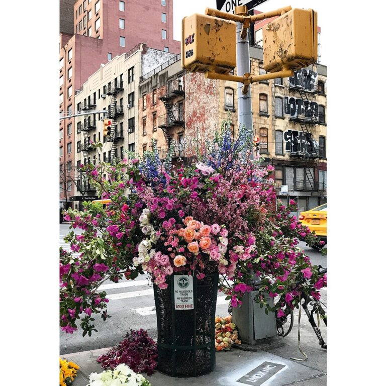 Puzzle – Lule në New York