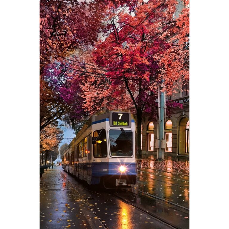 Puzzle- Zvicra 200p