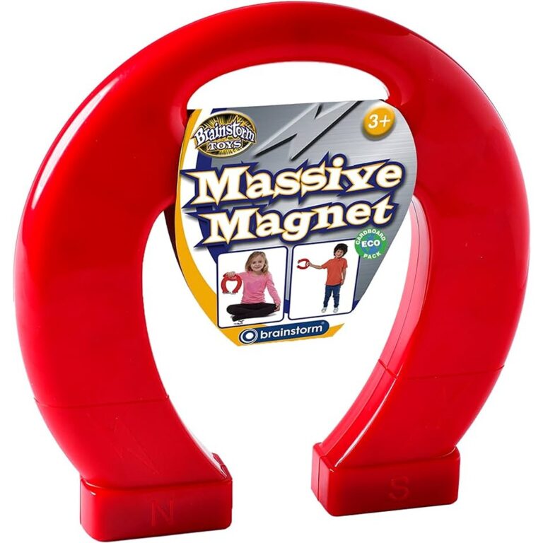 Magnet i madh