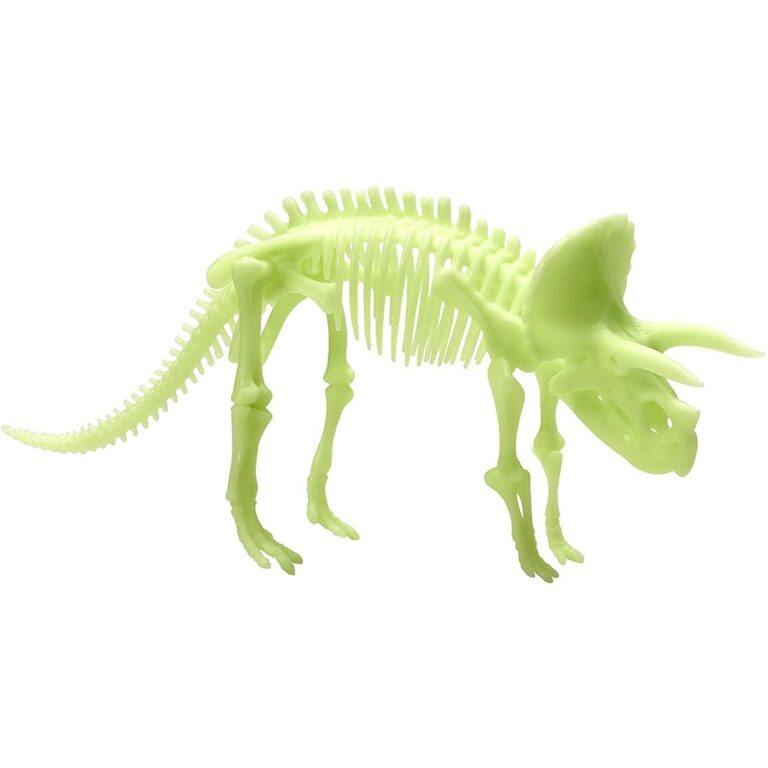 Skeleti i dinosaurit Triceratops qe ndriçon thumbnail 2