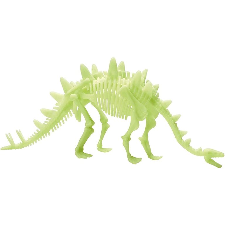 Skeleti i dinosaurit Stegosaurus qe ndriçon thumbnail 2