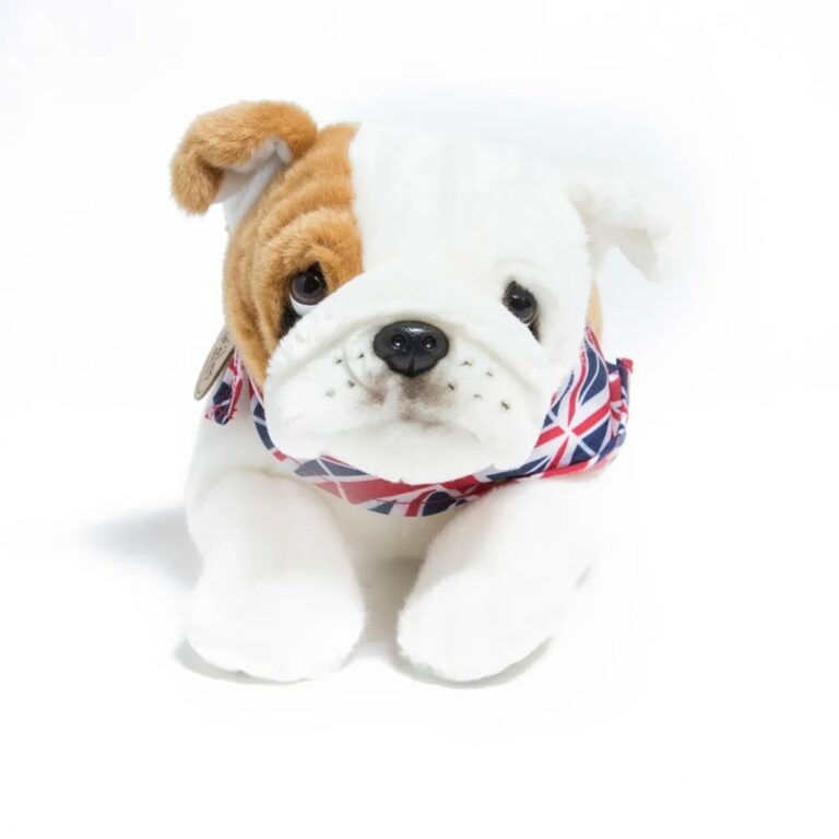 Qenush Pellushi- Bulldog