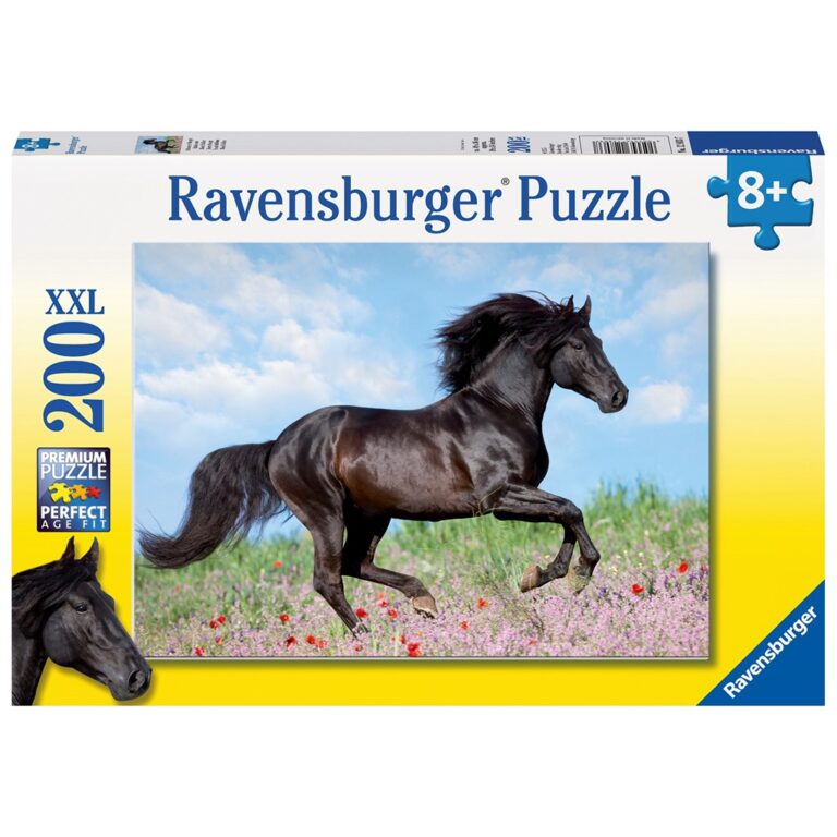 Puzzle- Kali I zi 200p thumbnail 3