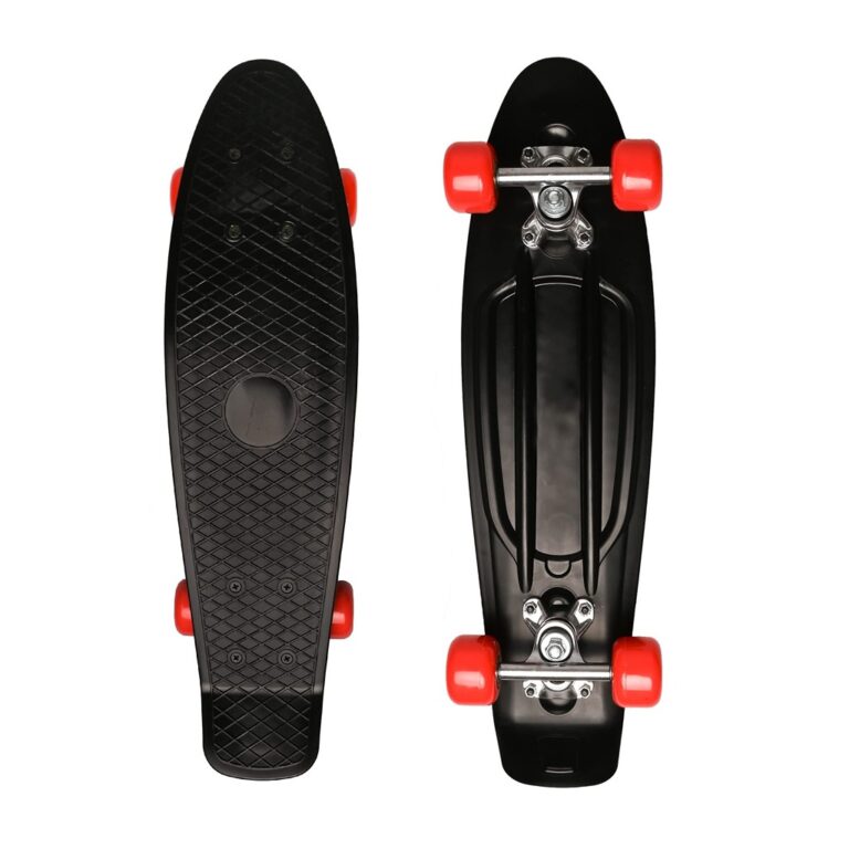 Skatebord i zi