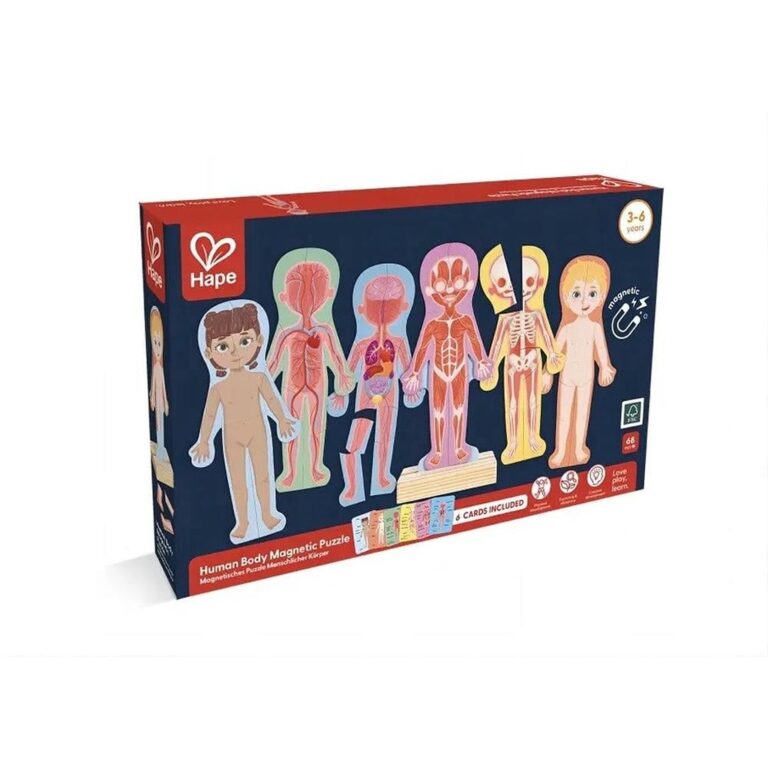 Puzzle magnetik trupi I njeriut