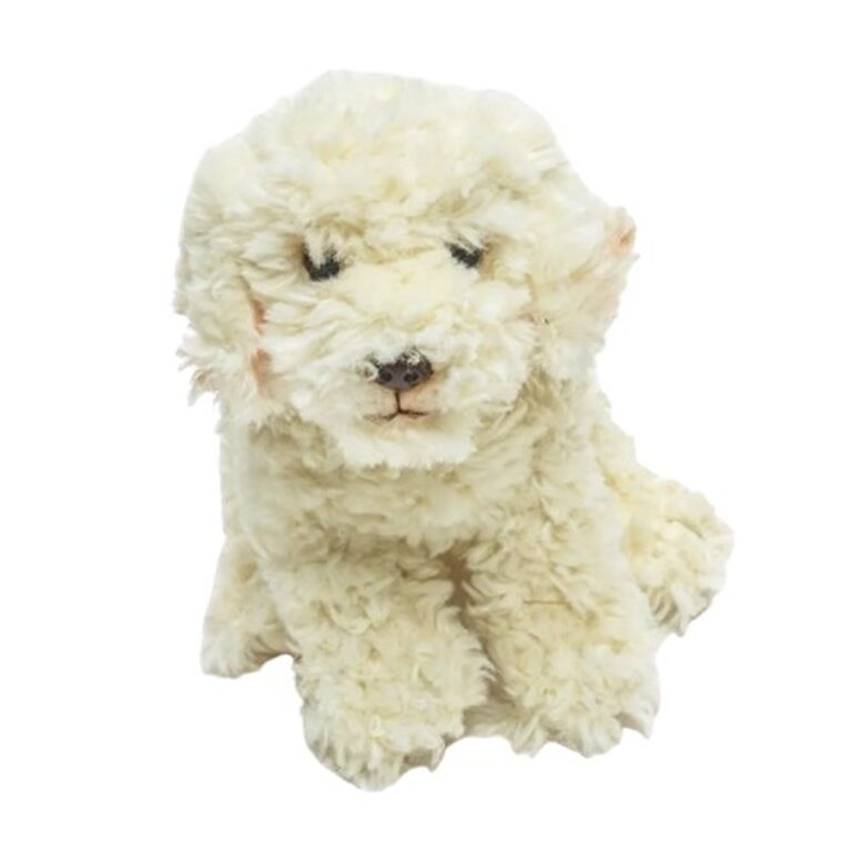Qenushi Labradoodle