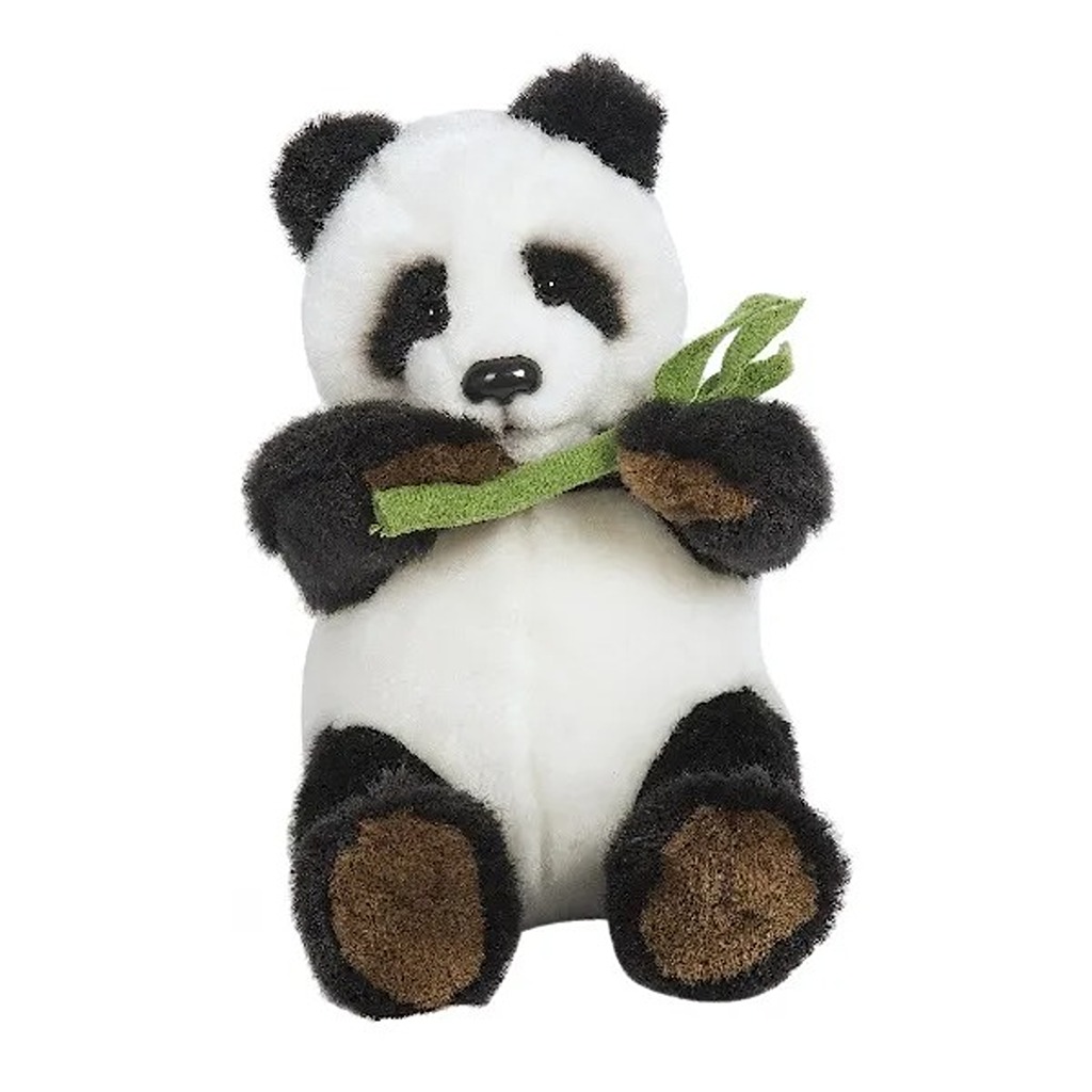 Arush Panda