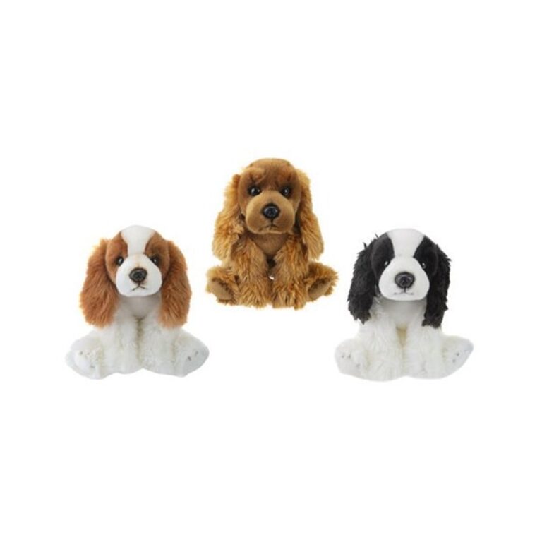 Qen pellushi Cocker Spaniel